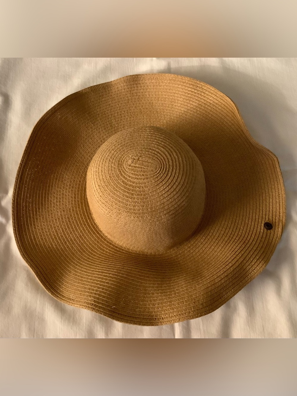 Peter Grimm Wide Brim Straw Hat in Tan/Brown